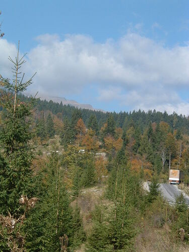 Picture 041
